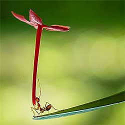 This month's theme is 'Optimism'